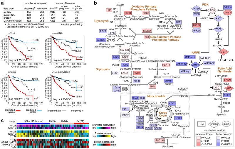 therapy Cancer Genome