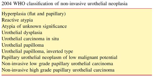 Non-Invasive Urothelial Carcinoma Recurrence/Progression WHO/ISUP Grade: Urothelial Papilloma: lowest risk of recurrence & no progression PUNLMP: 35% (25-47%) risk of recurrence, 4% risk of