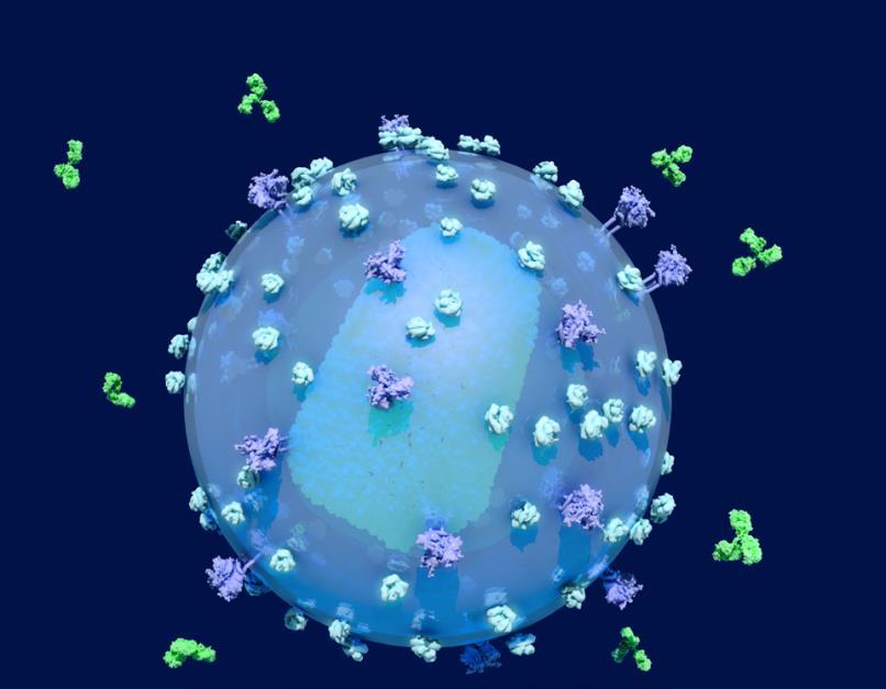 How could antibodies work against HIV?