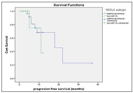 Fig-2: Kaplan-Meier curve of (PFS): for adenocarcinoma and squamous cell carcinoma Fig-3: Kaplan-Meier curve of (PFS): for gender (N: 41) Table-3 Cross percentage among