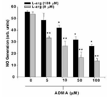 ADMA regulates NO production and vascular function