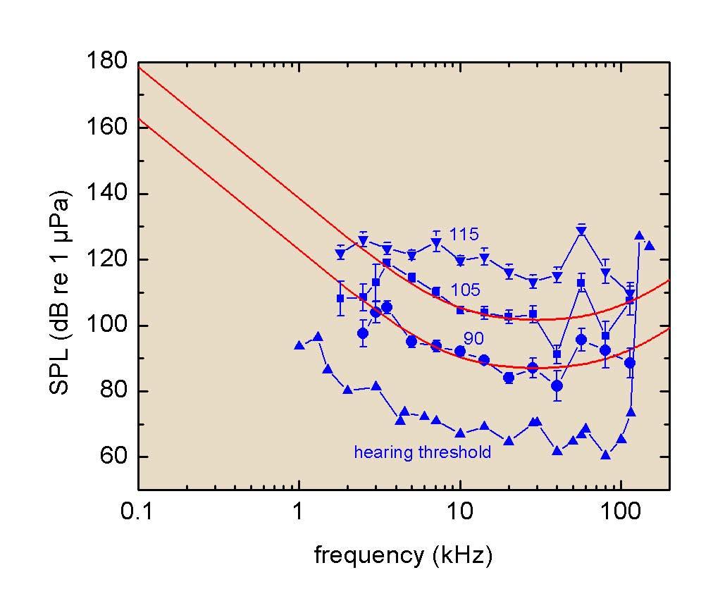 Figure 4 shows equal-loudness contours measured in the dolphin TYH. The data obtained from this study represent the first direct measurement of equal-loudness curves in any animal.