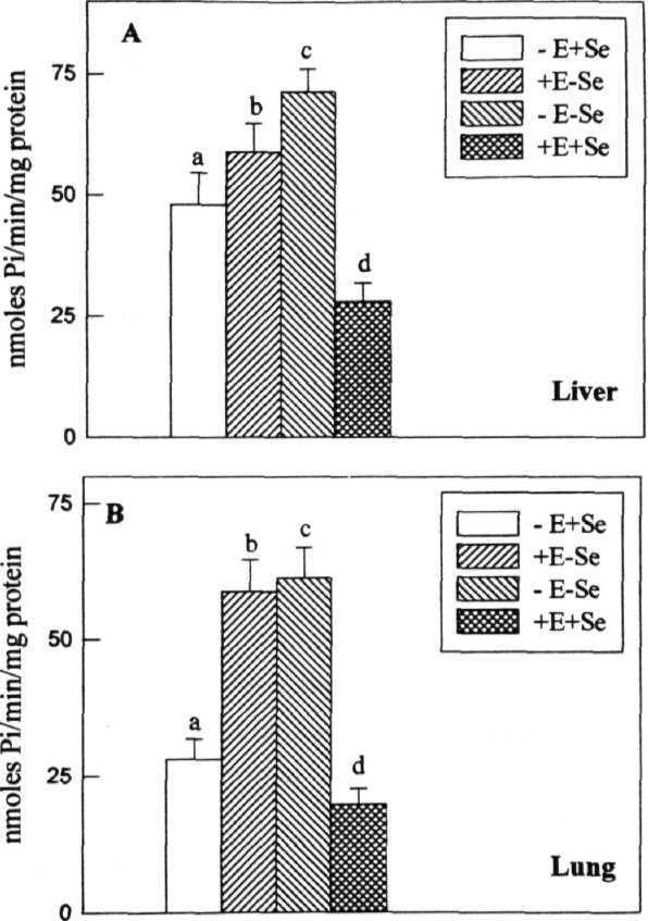 Fig. 22: Activity levels of y-glutamylcysteine synthetase in the cytosolic fractions of liver and lung tissues of rats fed on vit.