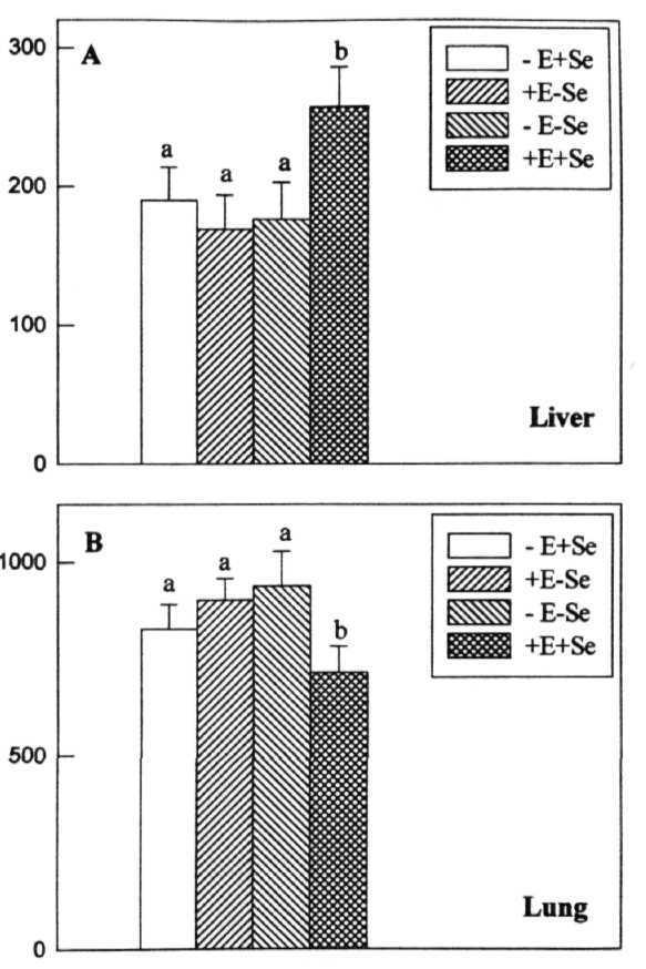 Fig. 24 : Activity levels of y-glutamyl transpeptidase in the cytosolic fractions of liver and lung tissues of rats fed on vit.