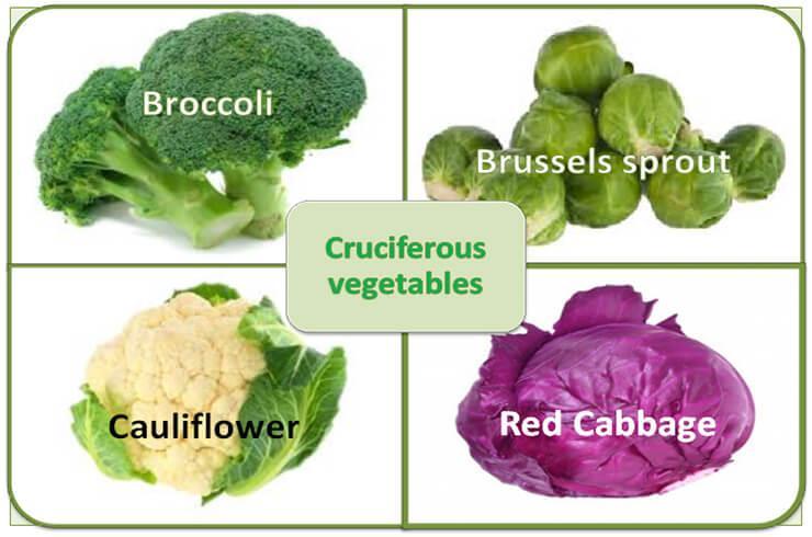 Cruciferous Vegetables Cabbage, broccoli and Brussels sprouts are in the family of cruciferous