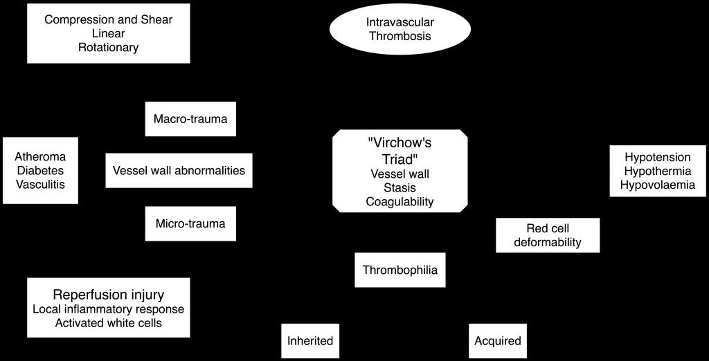 Intravascular thrombosis Wound Healing Unit Thrombophilia predisposes to the development of superficial and deep lower limb venous