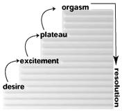 Sexual Response Cycle Masters and Johnson (1970) 10 Dysfunctions of Sexual Desire Hypoactive sexual desire disorder : a person shows little or no sex drive or interest Sexual aversion disorder :