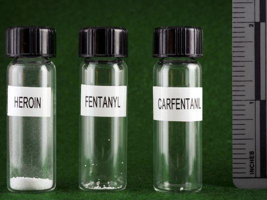 Heroin, fentanyl and carfentanil