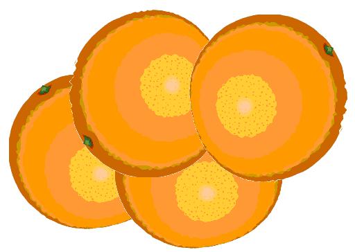 250 Calories 4 Oranges