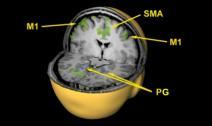 Neurofeedback exemplary data: SMA vs.
