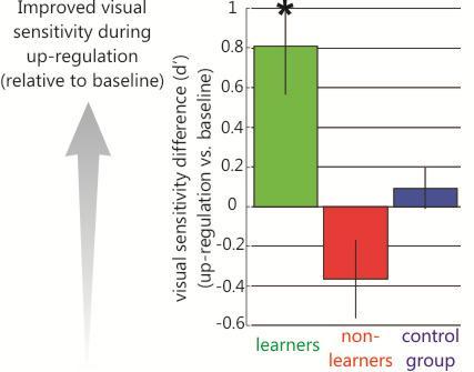 Neurofeedback Training Visual ROI Self-regulation of visual cortex can be learned (not easy), and is maintained despite distracting