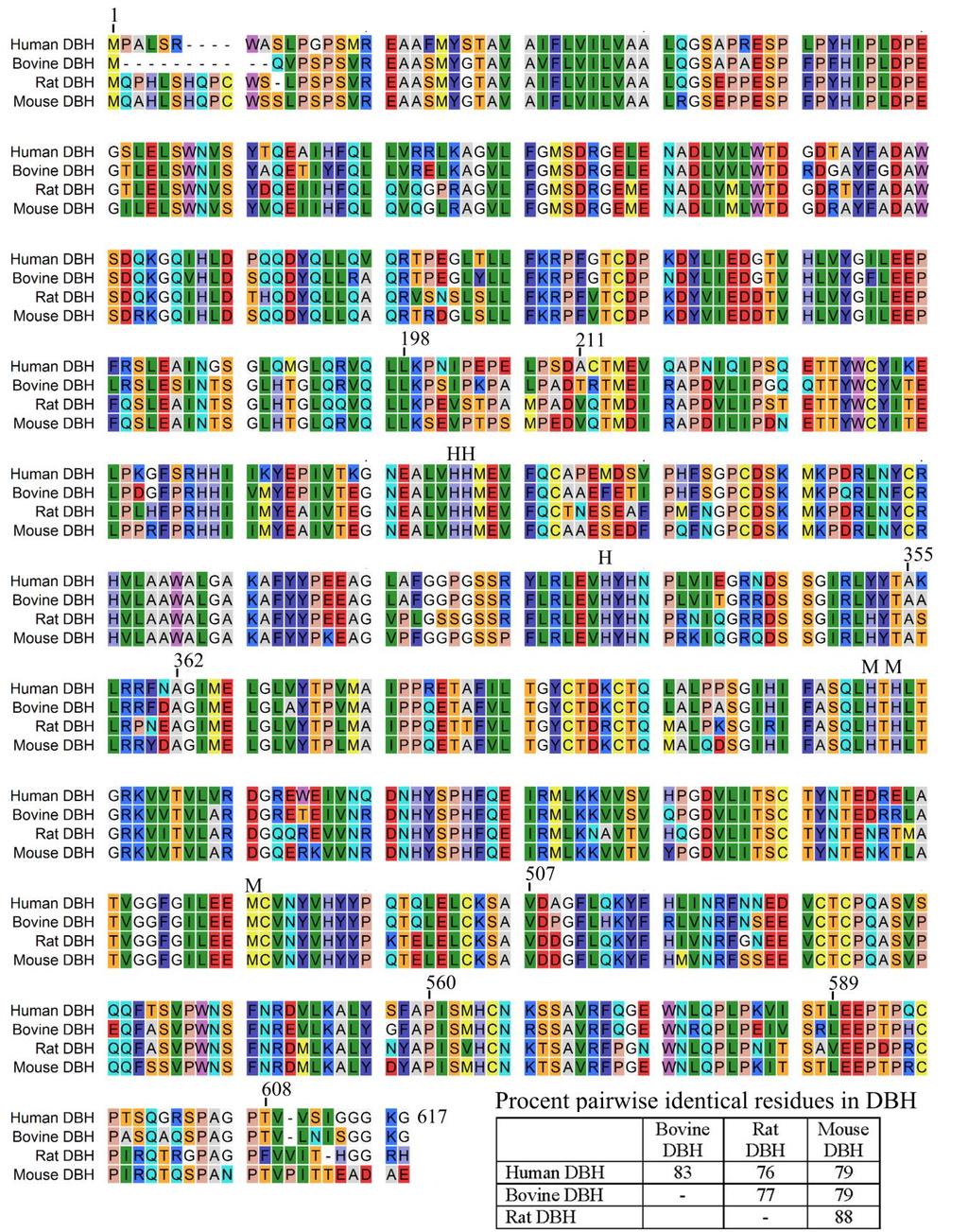 fig. S3. Sequence alignment of DBH from different organisms.