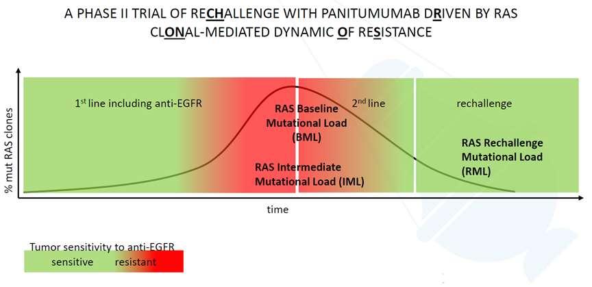 rechallenge with panitumumab can achieve an objective response rate (ORR= CR+PR)