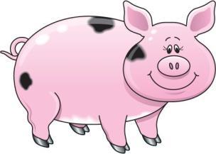 Intestinal mucosa: A pig study Pigs were fed for 3