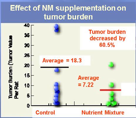 NS Inhibits Growth of Chemically Induced Tumors Based on above encouraging results we conducted in vivo study testing the efficacy of NS in inhibiting the