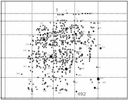 Figure 2. A schematic representation of 492 polypeptide spots. The selected 492 spots were used to judge the presence or absence of the spots among 19 stocks of T. cruzi.