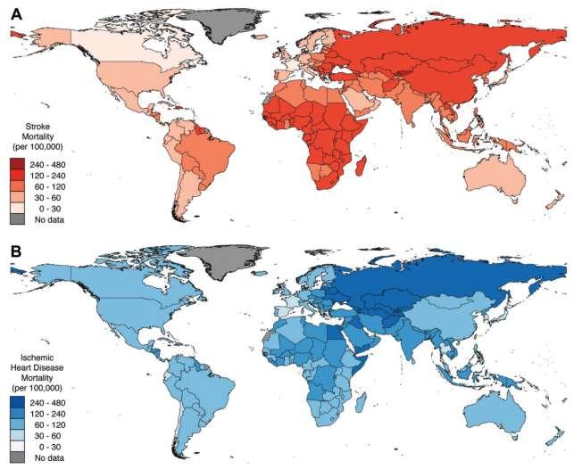 Geographic distribution of relative mortality from stroke and ischemic heart disease World Health
