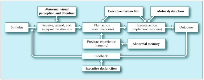 Cognitive - Motor Dysfunction Impacts Information Processing for