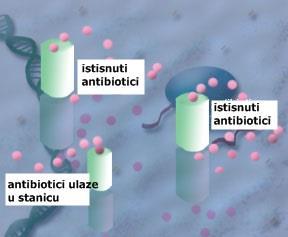 d) Pojačano izbacivanje antibiotika iz stanice pomoću efluks pumpi Kako bi bili učinkoviti, antibiotici moraju biti prisutni u dovoljno visokoj koncentraciji unutar bakterijske stanice.