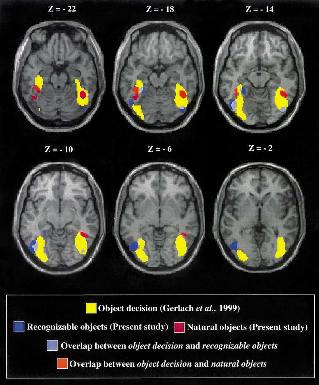 C. Gerlach et al. / Neuropsychologia 40 (2002) 1254 1267 1263 Fig. 4. Six horizontal sections showing the areas associated with: object decision vs.