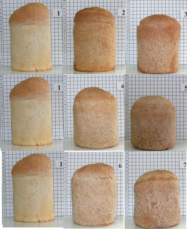 M. Ognean, Neli Darie and Claudia Felicia Ognean III. Results and Discussions Pictures of the outcome breads are shown in pictures from Figure 1.