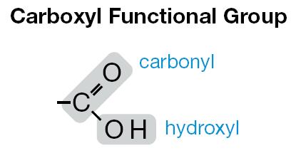 Carboxylic acids contain