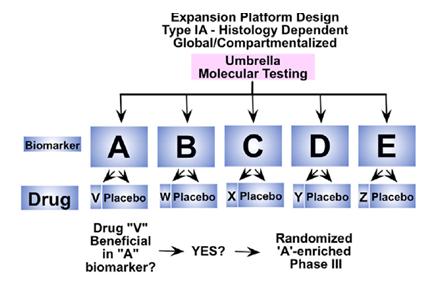 Expansion platform I: (umbrella of BM enrichment trials) Histologydependent Patients are