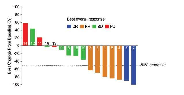 pembrolizumab in RR PMLBCL 17 patients ORR was 41% (7/17); 35% SD