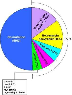 Clinical Applications of Genetic Testing Prevalence of HCM