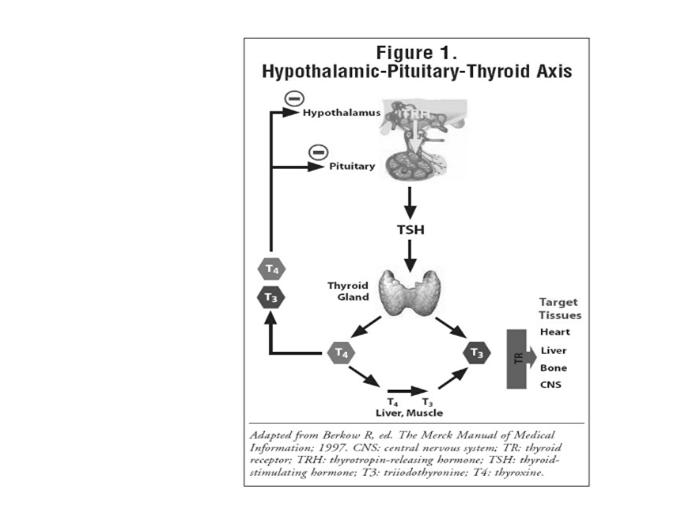 of TSH (thyroid stimulating hormone) from the pituitary gland.