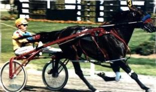 Slide #39 History: a 4-year-old Standardbred horse with a history of going around the race track twice and then losing control of its hind limbs hind limbs were