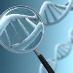 Genetic Consult Detailed Family History Discuss benefits and