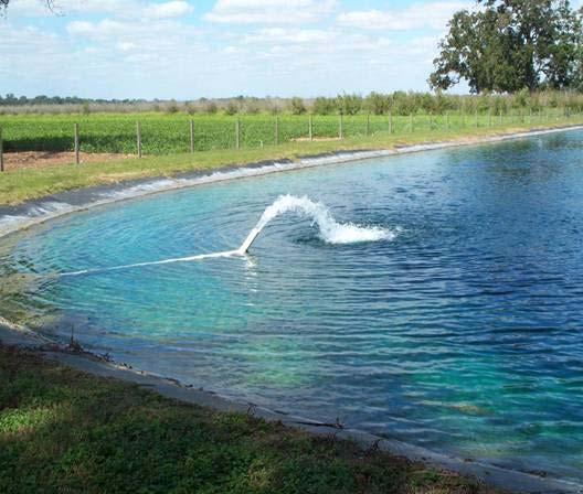 Phosphorus OR nurseries contain their runoff water during the