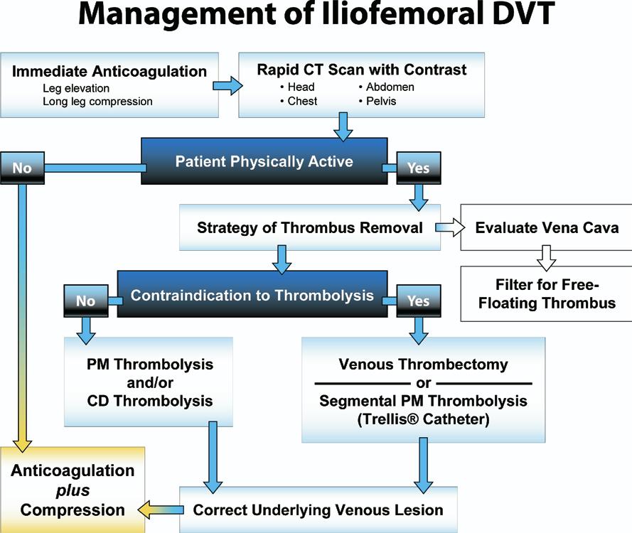 FIG 6. Treatment algorithm for patients with iliofemoral deep venous thrombosis. (Color version of figure is available online.) TABLE 8.