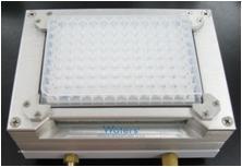 BlotGlyco 96 well plate kit --high throughput and easy operation--