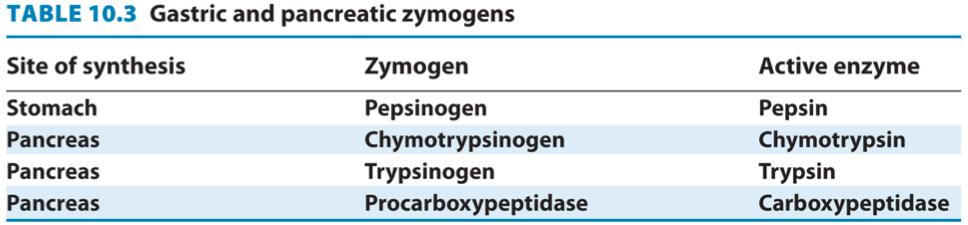 Proteolytic Activation of Zymogens Releases