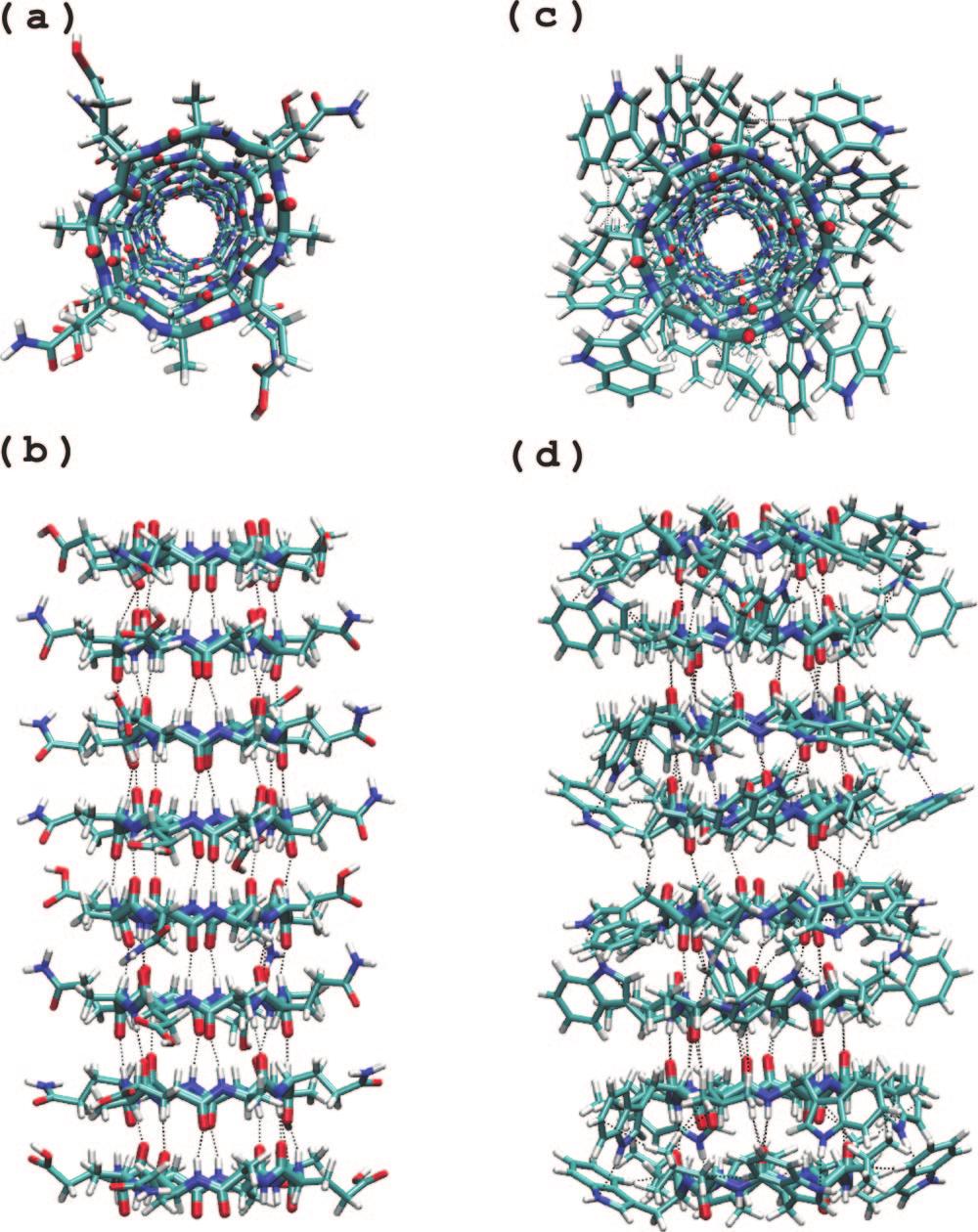 Peptide Nanotube Insertion into a Lipid Bilayer J. Phys. Chem. A, Vol. 113, No.