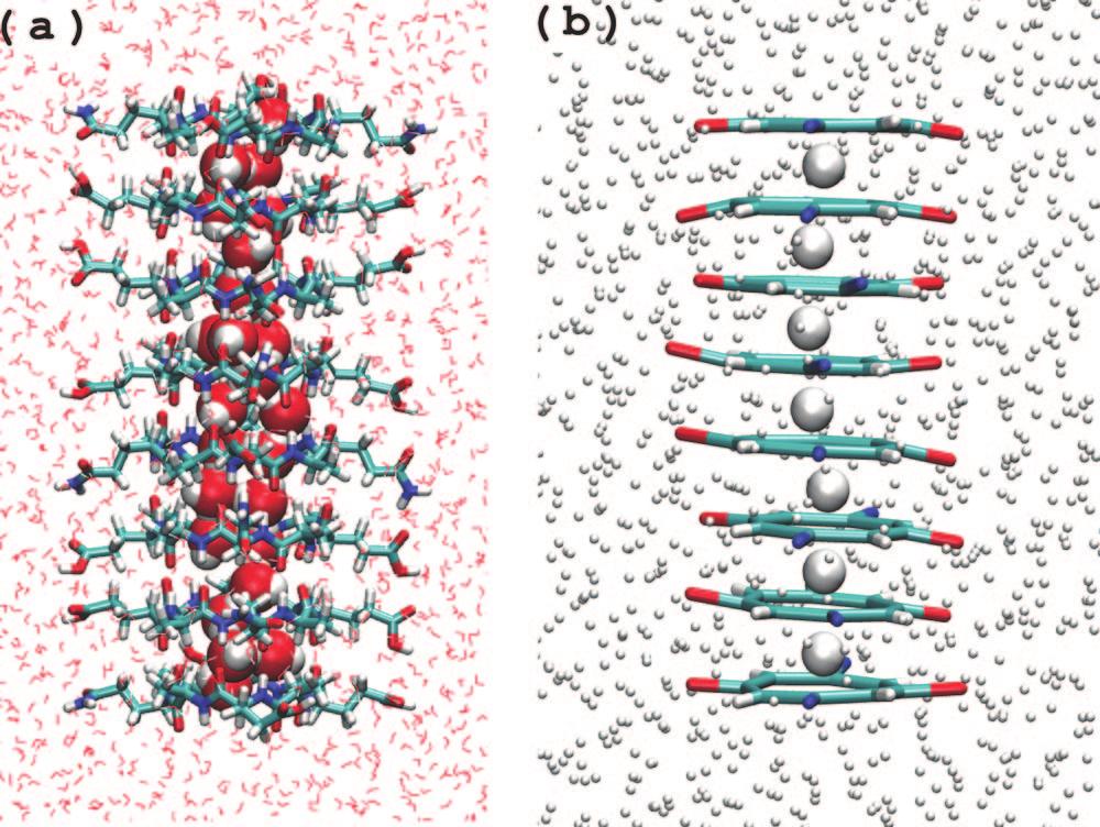 Peptide Nanotube Insertion into a Lipid Bilayer J. Phys. Chem. A, Vol. 113, No. 16, 2009 4783 Figure 3.