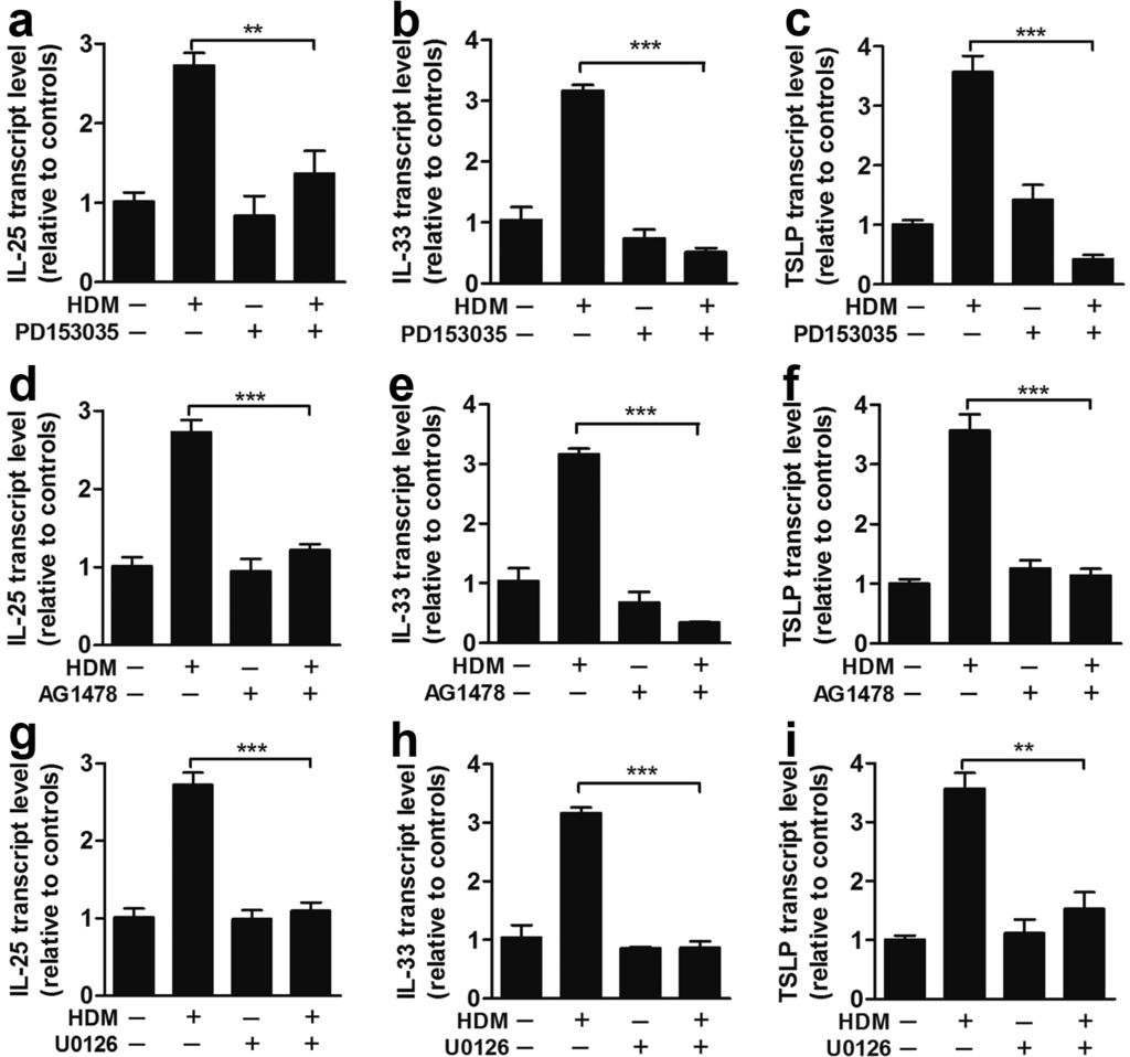Figure S5. EGFR and ERK are required for HDM-induced IL-25, IL-33, and TSLP expression.