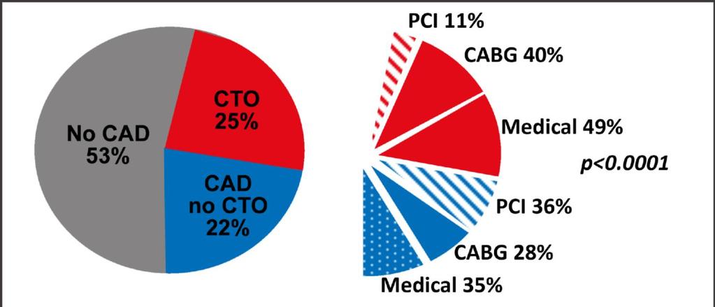 The Canadian Multicenter CTO Registry April 2008 - July 2009 (3 centers) Patients with chronic total occlusion (CTO) n=1697 CTO prevalence 18.
