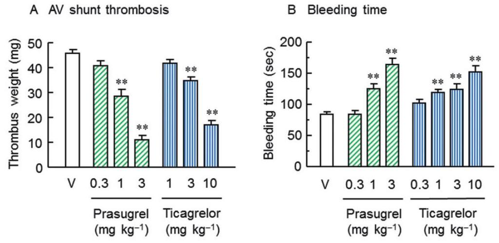 PK and PD of Prasugrel vs. Ticagrelor in Rats AV shunt thrombosis model (4h after dosing) 21-G needle into the tail (4h after dosing) Potency Prasugrel vs.