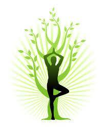 The Neurobiology of Traumatic Stress and the Healing Power of Yoga Janine M.