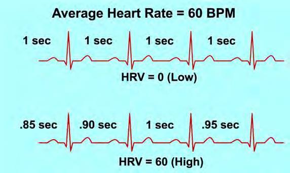 Yoga and Heart Rate Variability (HRV) HRV is the variation in the time interval between one heartbeat and the next.