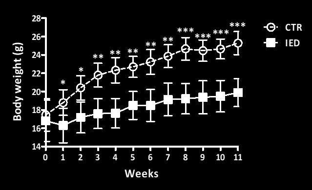 Fig. 8. Effect of iron-enriched diet (IED) on body weight. Mice were fed chow-diet (control group - CTR) or IED group (3% carbonyl-iron) for 11 weeks, respectively.