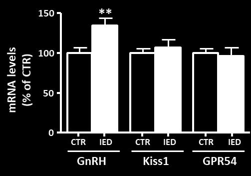 Fig. 19. Effect of iron on reproductive system. White bars are control (CTR) mice and the black ones are ironenriched diet (IED) mice. Data are representative of 15 mice.