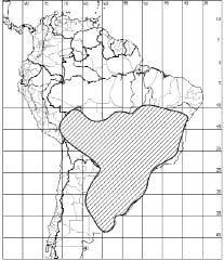 Geographical Distribution Vernonieae Cass.: pantropical tribe with ca. 1.800 species distributed in America, Asia and Africa. In the New World: 15 subtribes, Old World: 6. Subtribe Lepidaploinae S.C. Keeley & H.