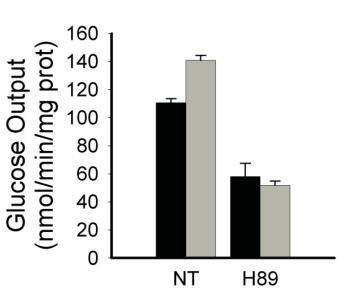 Supplemental Figure 5 Mechanistic and signaling studies in primary mouse hepatocytes a b c d e f g h i Glucose Glucose j k l C 5 -Ketoglutarate C 5 Glutamate C 4 Malate Supplemental