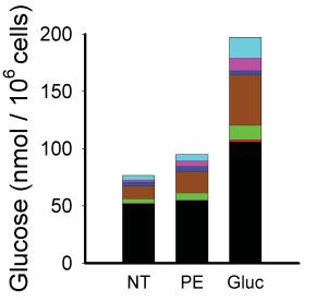 (c) Measurement of a-kgdh enzymatic activity in primary hepatocytes treated with PBS or glucagon.
