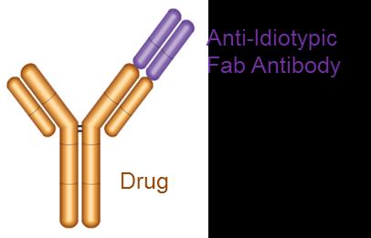 Anti-Simponi Antibodies AbD Serotec offers you recombinant monoclonal antibodies to the antibody drug golimumab (Simponi).