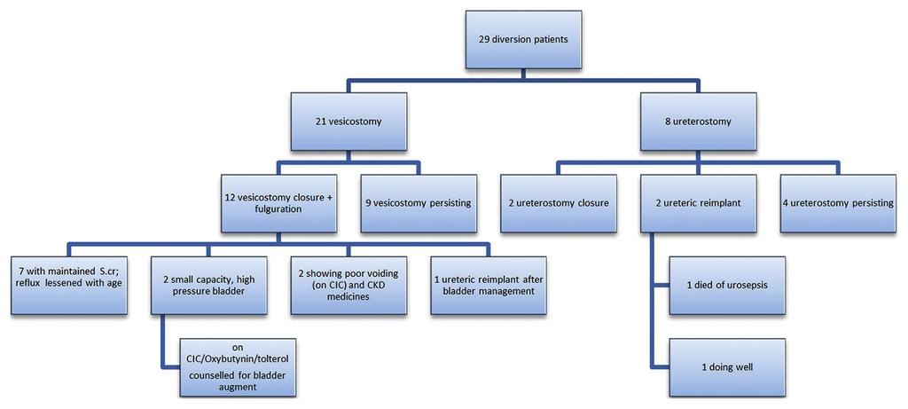 Figure 1: Results of Diversion in PUV patients presenting late in developing countries need diversion to allow recovery of renal function and correct urosepsis. [16] In contrast, Ghanem et al.